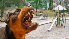 Hier griff der Rottweiler eine Gruppe Hortkinder an.