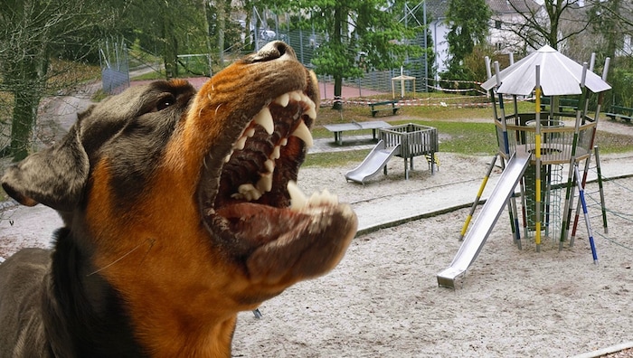 Hier griff der Rottweiler eine Gruppe Hortkinder an.