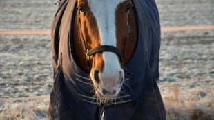 In Assling in Osttirol ereignete sich der tragische Unfall (Symbolbild).