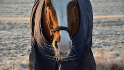 In Assling in Osttirol ereignete sich der tragische Unfall (Symbolbild).