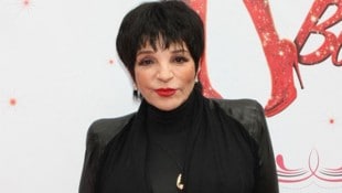 Liza Minnelli verrät in ihren Memoiren, dass sie gerne einen 18-Jährigen daten würde. 
