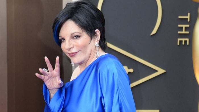 Liza Minnelli packt in ihrer Autobiografie auch über Affären und Ehen aus.