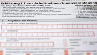 Der lange traditionelle Weg per Formular kann noch beschritten werden, statt Finanzonline mit ...