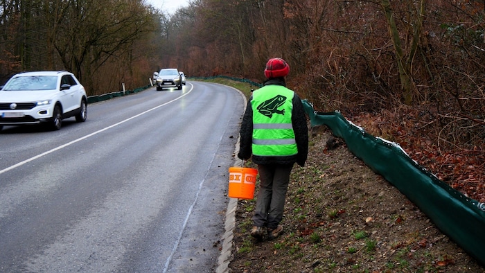 Die Schicht am Zaun ist für das Überleben der Tiere unverzichtbar.