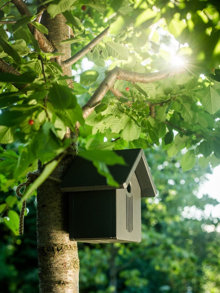 Der handgefertigte Nistkasten ist ein sicherer Rückzugsort für die gefiederten Gartenbewohner.
