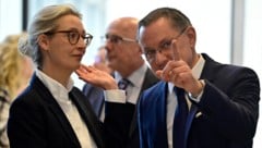 Alice Weidel und Tino Chrupalla, die beiden Spitzen der AfD, haben Grund zur Freude.