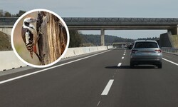 Die Folgen des Baus vor allem für den Mittelspecht stehen im Mittelpunkt der Bedenken der ...