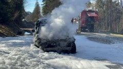 Der Lenker konnte sich rechtzeitig aus dem brennenden Auto retten.