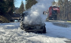 Der Lenker konnte sich rechtzeitig aus dem brennenden Auto retten.