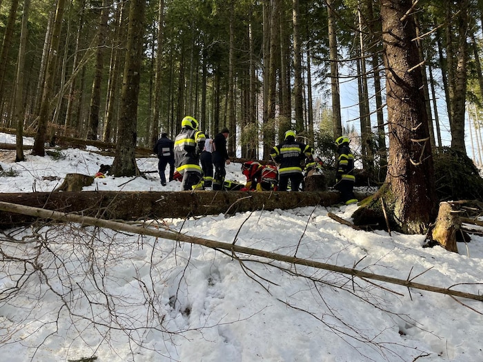 Auch 28 Kräfte der umliegenden Feuerwehren standen im Einsatz.