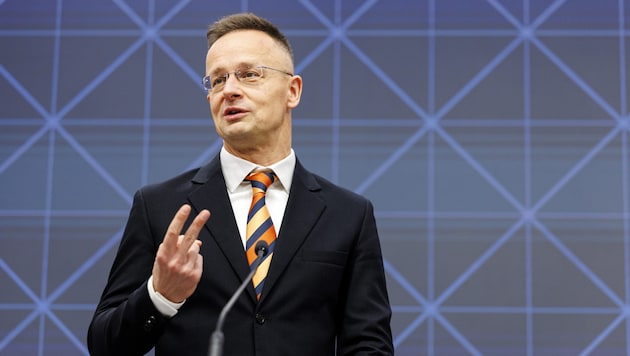 Der ungarische Außenminister Péter Szijjártó (hier bei einer Pressekonferenz mit der FPÖ im ...