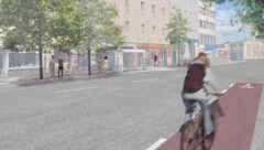 Die Baumpflanzoffensive geht nun im Andreas-Hofer-Viertel entlang der Wiener Straße bis zum ...