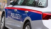 Die Polizisten nahmen der Frau den Führerschein ab. (Symbolbild)