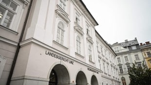 Der Prozess am Landesgericht Linz ging am Freitag weiter.