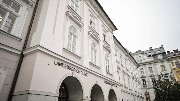 Der Prozess am Landesgericht Linz ging am Freitag weiter.
