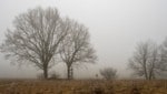 Fix ist noch nichts – aber erste Trends lassen vorsichtige Prognosen für den heurigen Winter zu.