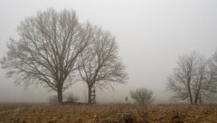 Das fehlende Sonnenlicht machte laut einer Marketagent-Umfrage im Winter 2025/26 vielen zu ...