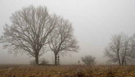 Das fehlende Sonnenlicht machte laut einer Marketagent-Umfrage im Winter 2025/26 vielen zu ...