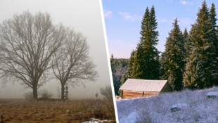 Der Osten hatte im heurigen Winter das Nachsehen, im Westen ließ sich die Sonne weitaus öfter ...