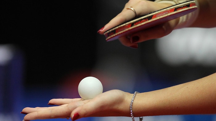 Das Sportministerium verhängte einen Förderstopp über den österreichischen Tischtennisverband.