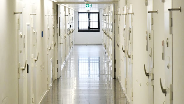 Für den Pensionisten klickten die Handschellen. In einer Zelle der Justizanstalt ist er in Haft.