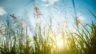 Sonnenschein pur in weiten Teilen des Landes