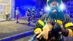 Insgesamt standen 38 Feuerwehrleute im Einsatz. Rechts eine der Katzen mit ihrem Retter.