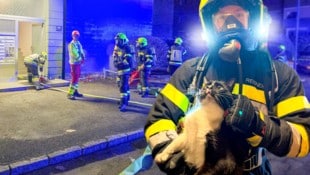 Insgesamt standen 38 Feuerwehrleute im Einsatz. Rechts eine der Katzen mit ihrem Retter.