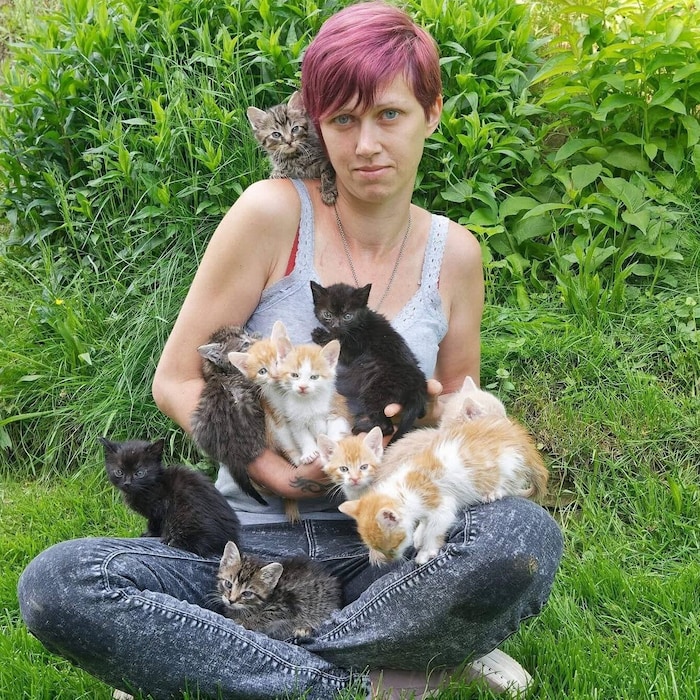 Weststeiermark: Dogs, Cats & More, Michaela Winter, 0660/9340120