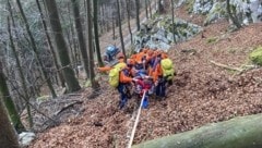 Die Bergrettung Golling musste den Landwirt bergen.