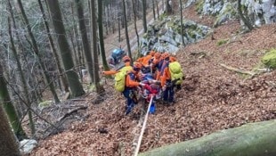 Die Bergrettung Golling musste den Landwirt bergen.