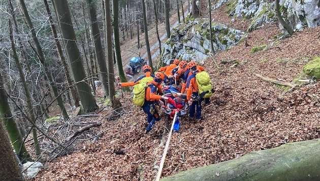 Die Bergrettung Golling musste den Landwirt bergen.