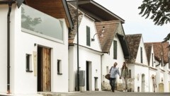 Über 4000 Keller wurden bisher in einer landesweiten Datenbank erfasst.