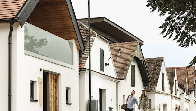 Über 4000 Keller wurden bisher in einer landesweiten Datenbank erfasst.