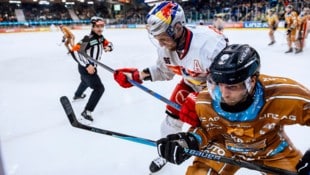 Mario Huber (li.) und die Eisbullen müssen zum Grunddurchgangs-Kehraus gegen Innsbruck ran.
