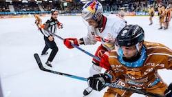 Mario Huber (li.) und die Eisbullen müssen zum Grunddurchgangs-Kehraus gegen Innsbruck ran.