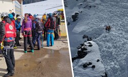 Eine große Suchaktion wurde im Bereich der Torspitze in Tux gestartet. Eine Lawine wurde am Berg ...