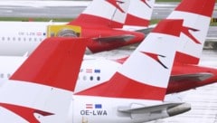 Angesichts der Entwicklungen im Nahen Osten hat die Austrian Airlines (AUA) ihren Flugplan ...