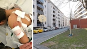 In der Grazer Niesenbergergasse attackierte am Samstagnachmittag ein Hund einen neunjährigen ...