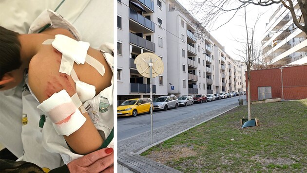 In der Grazer Niesenbergergasse attackierte am Samstagnachmittag ein Hund einen neunjährigen ...