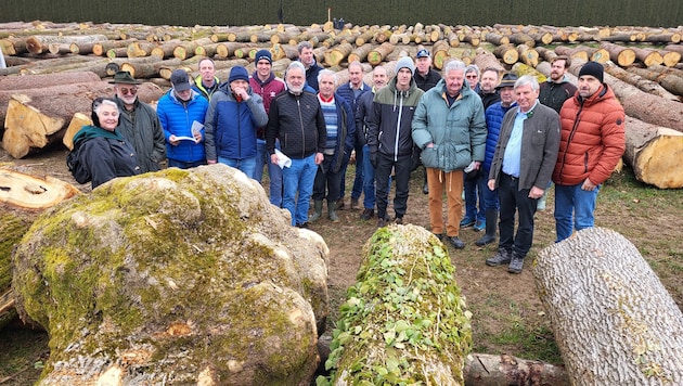 Die Kärntner Waldbesitzer punkteten mit bester Qualität.