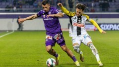 Austria Wien und der LASK stehen in der Meistergruppe.