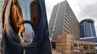 In Assling ereignete sich der fatale Unfall mit dem Pferd. Vater und Sohn wurden in die ...