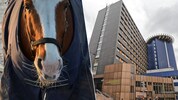 In Assling ereignete sich der fatale Unfall mit dem Pferd. Vater und Sohn wurden in die ...