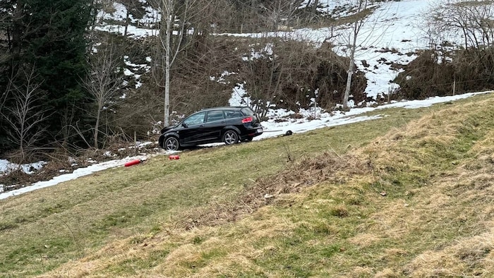 An einem Waldrand krachte der Lenker gegen einen Baum.
