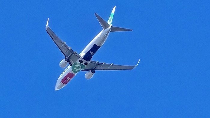 Transavia bedient die Strecke Innsbrucker-Amsterdam.