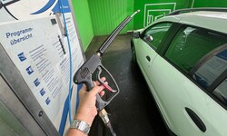 Die Streithähne versuchten einander die Waschlanze zu entreißen.