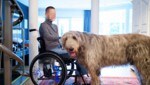 Seit dem tragischen Treppensturz ist die 54-Jährige auf den Rollstuhl angewiesen.