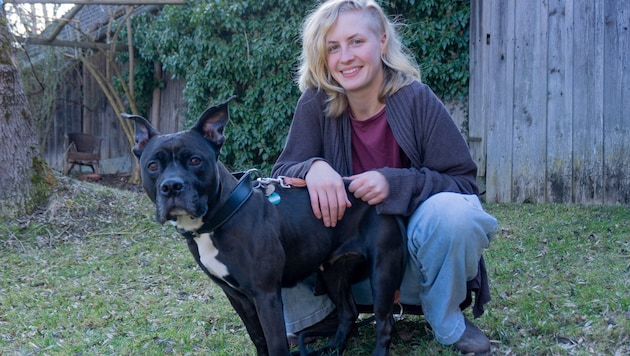 „Shea“ hat vorerst einen Pflegeplatz gefunden. Doch nicht für jeden Hund kann das garantiert ...