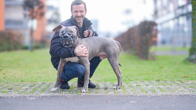 Laut seinem Herrchen hatte „Damon“ die Alltagstauglichkeitsprüfung (ATP) mit Bravour bestanden – ...